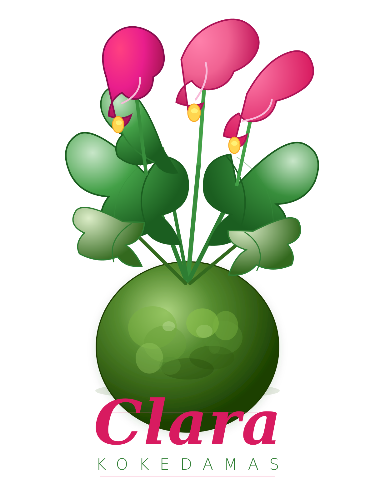 clarakokedamas